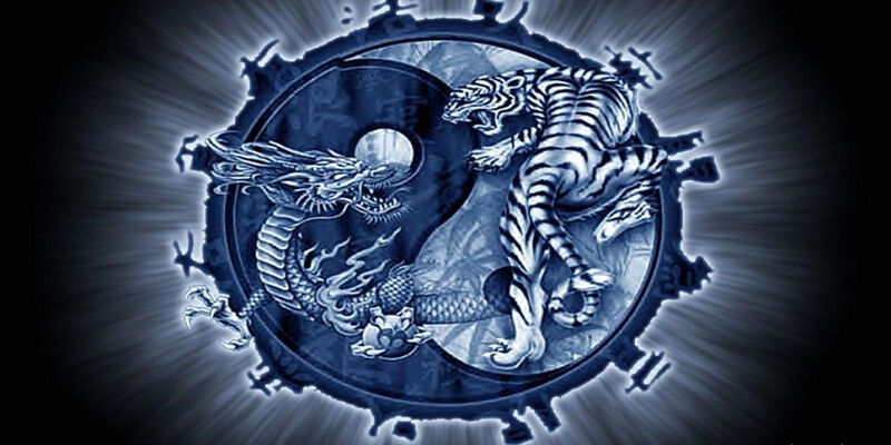 Cách chơi game Rồng Hổ mới nhất thị trường 2025