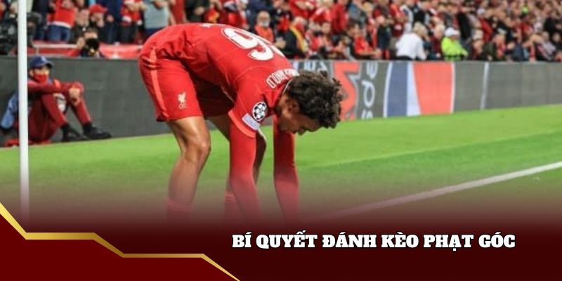 Mẹo soi kèo đá phạt góc cực đỉnh